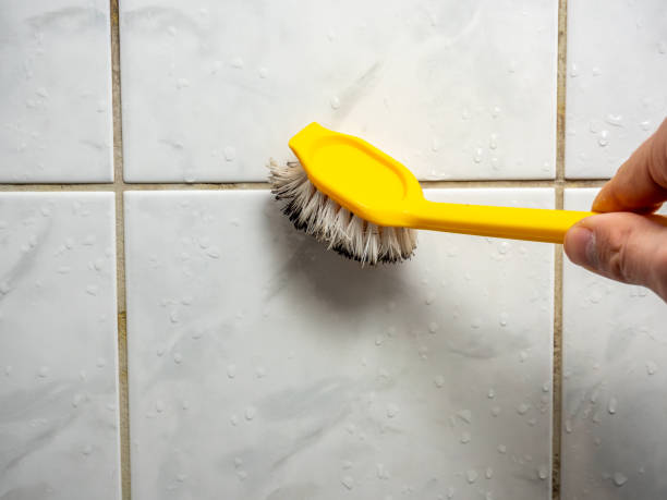 Best Toxic Mold Removal  in Centralia, MO