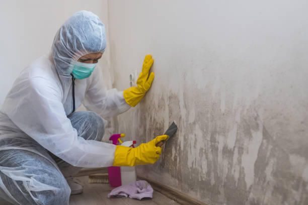 Best Crawl Space Mold Removal  in Centralia, MO