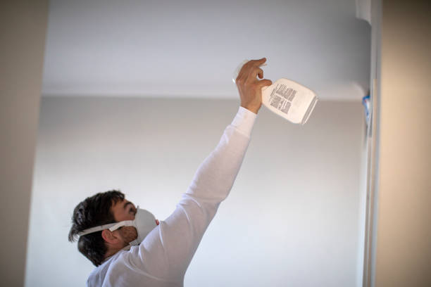 Best Professional Mold Removal  in Centralia, MO