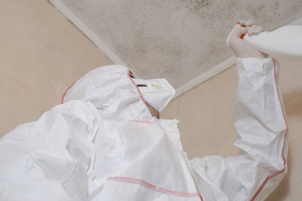Mold Testing and Removal in Centralia, MO