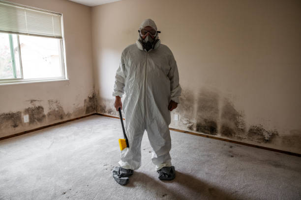 Mold Removal and Inspection in Centralia, MO